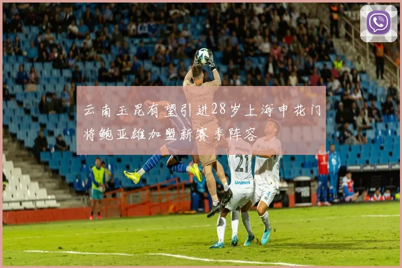 云南玉昆有望引进28岁上海申花门将鲍亚雄加盟新赛季阵容