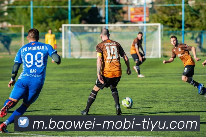 宝威体育服务体系